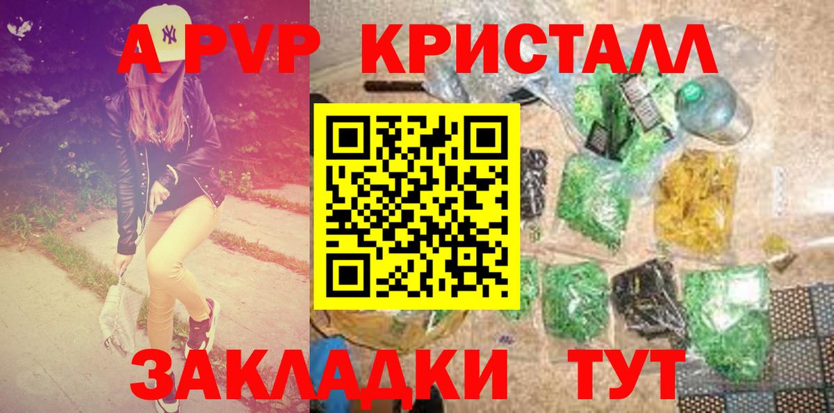 A PVP СК КРИС Елец