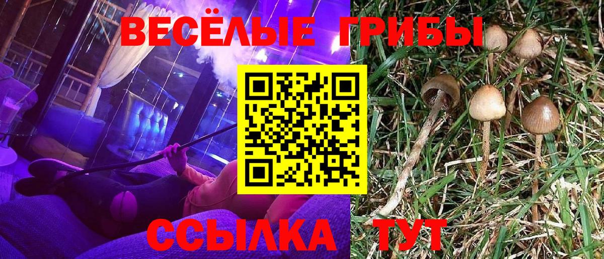 Галлюциногенные грибы Psilocybine cubensis  Вход с VPN  Елец 