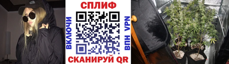 купить наркотик  Елец  Шишки марихуана THC 21% 